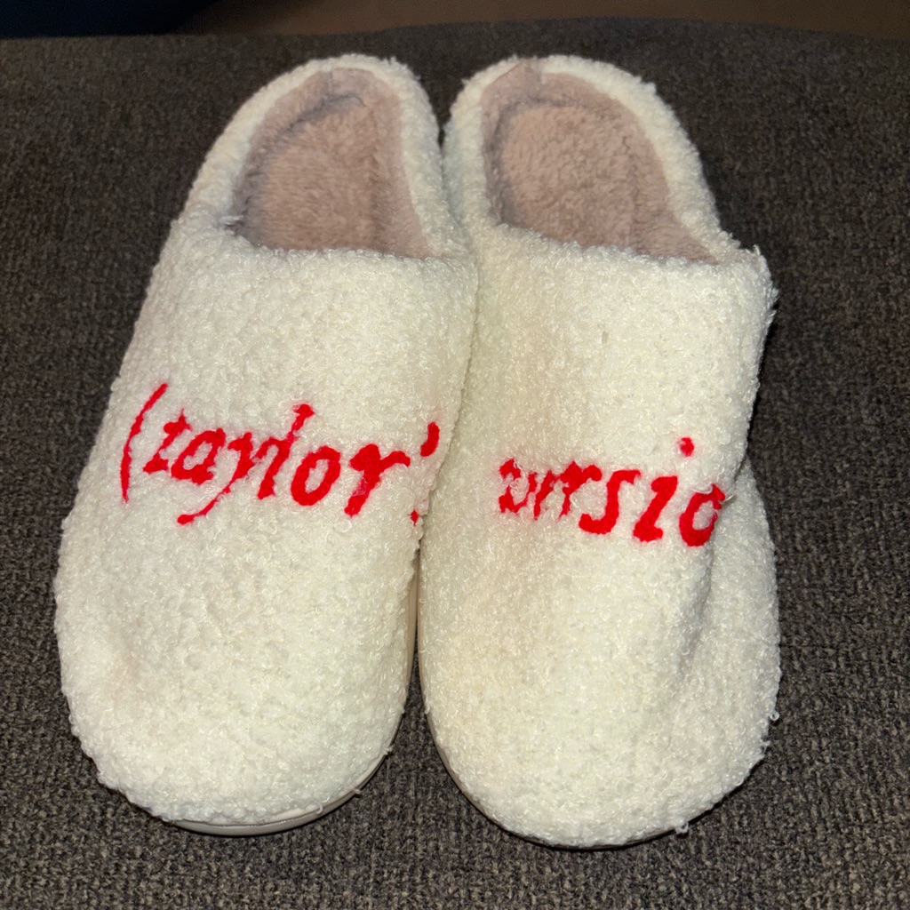 Taylor Swift Slippers Taylor Swift Slippers